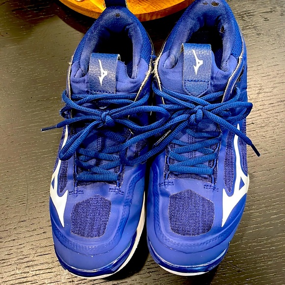 Mixing Volleyball shoes. Worn only for two month. - Picture 1 of 4
